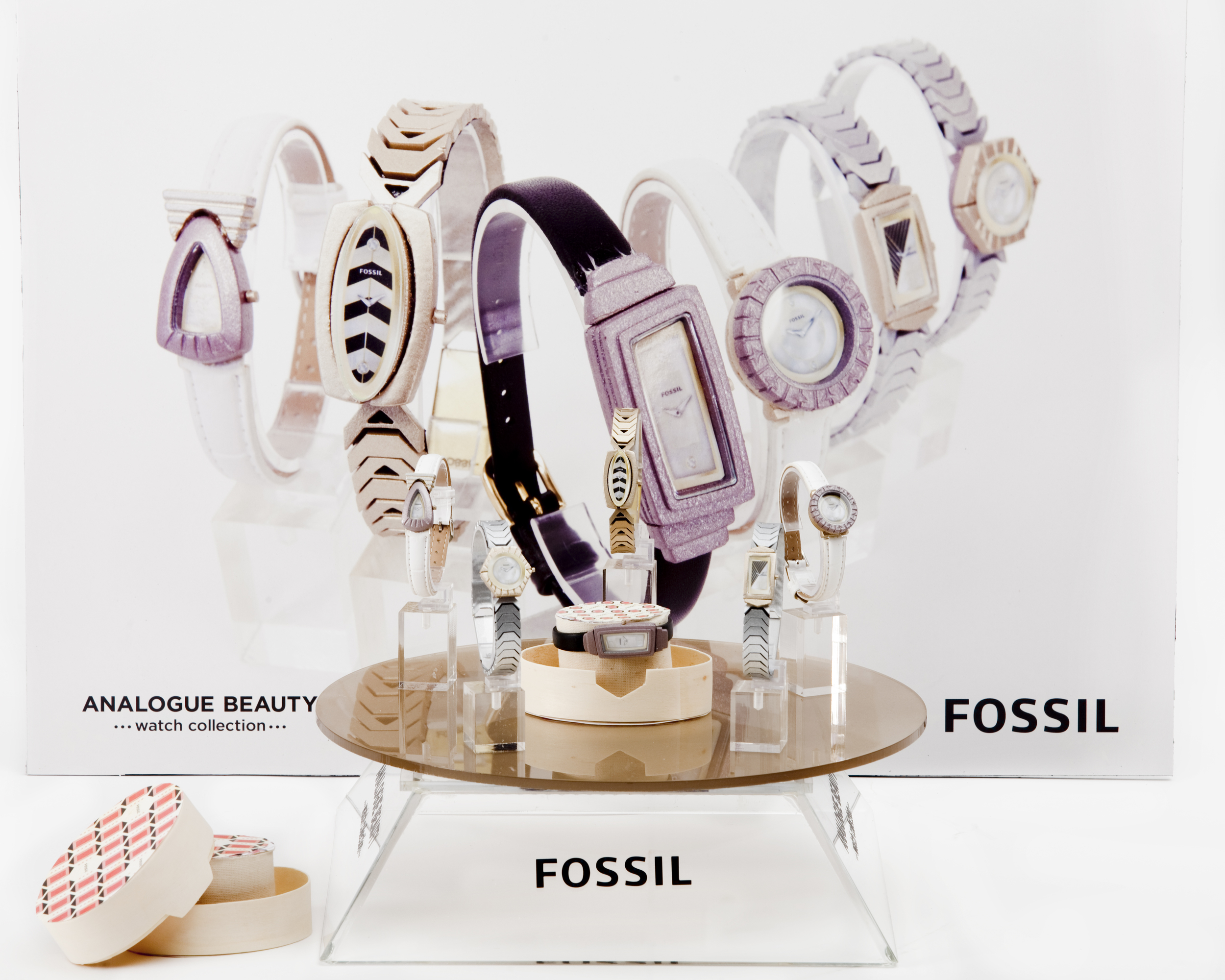 FossilProject_20_DB.jpg