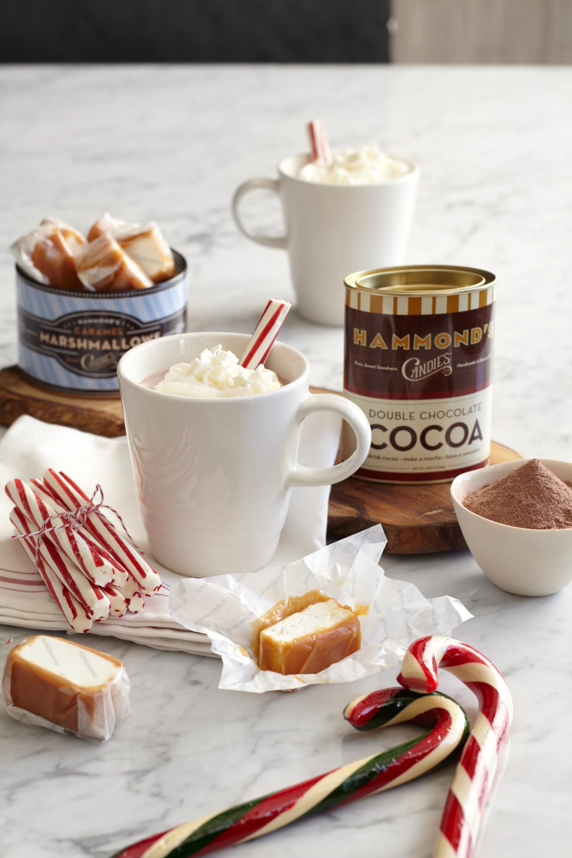 FH13_HammondHotCocoaSet.jpg