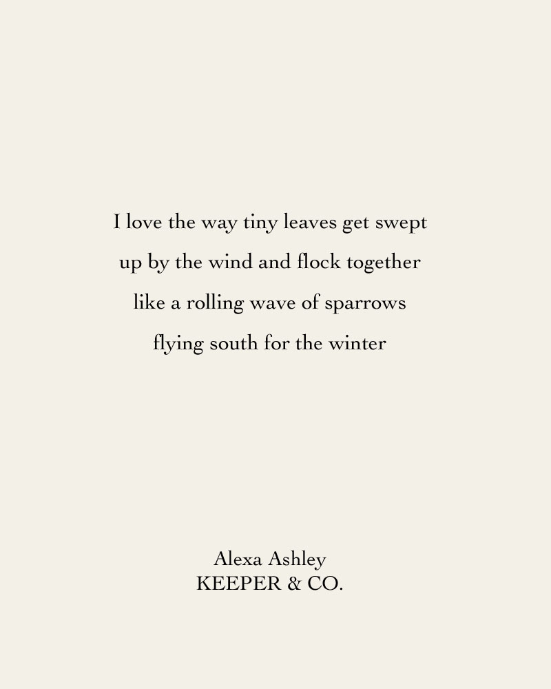I love the way tiny leaves get swept up by the wind and flock together like a rolling wave of sparrows flying south for the winter | Alexa Ashley | Keeper & Co.