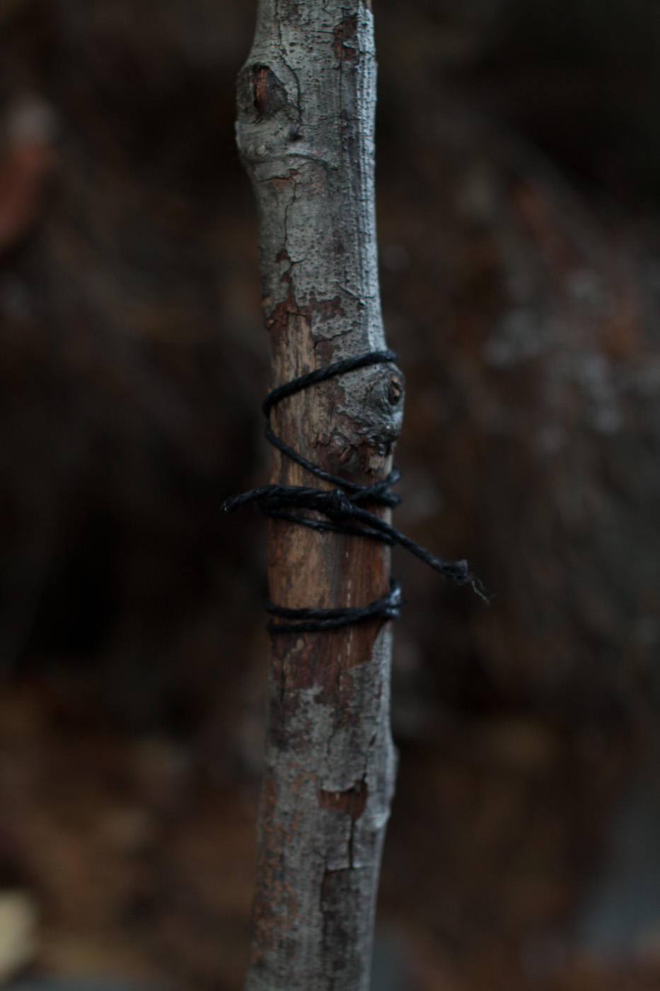 Scepter detail | Sustainable Wizard Costume | Keeper & Co.
