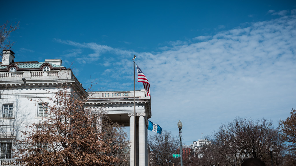 Childhood-Unplugged-Leslie-Kershaw-Photography-March-Washington-DC-Family-Photography-0495.jpg