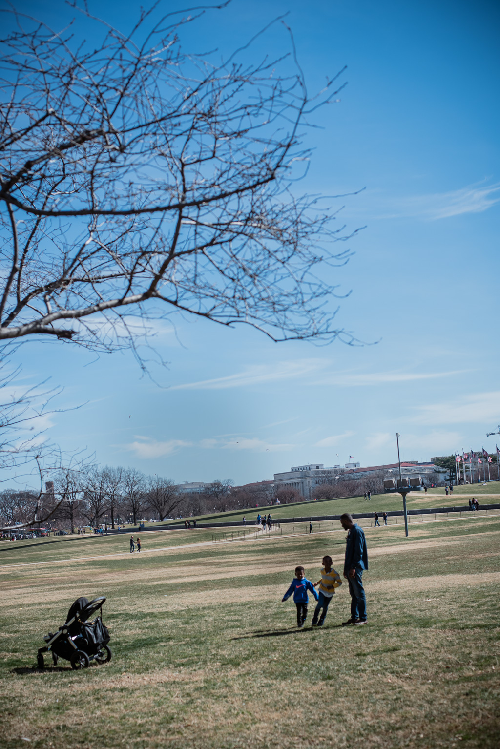 Childhood-Unplugged-Leslie-Kershaw-Photography-March-Washington-DC-Family-Photography-100.jpg