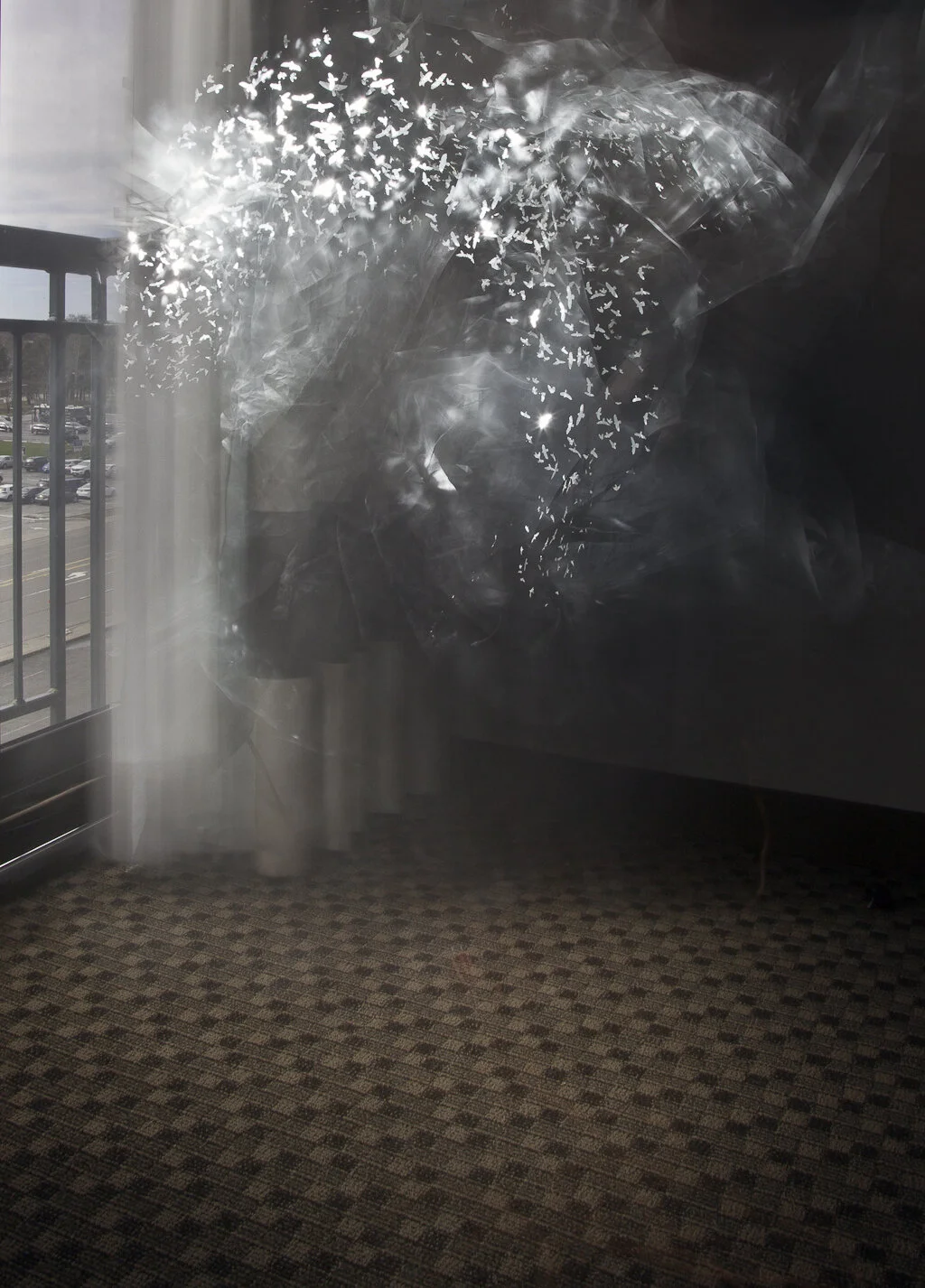 Murmuration#2-2018. Archival Inkjet Print, 24"x36".