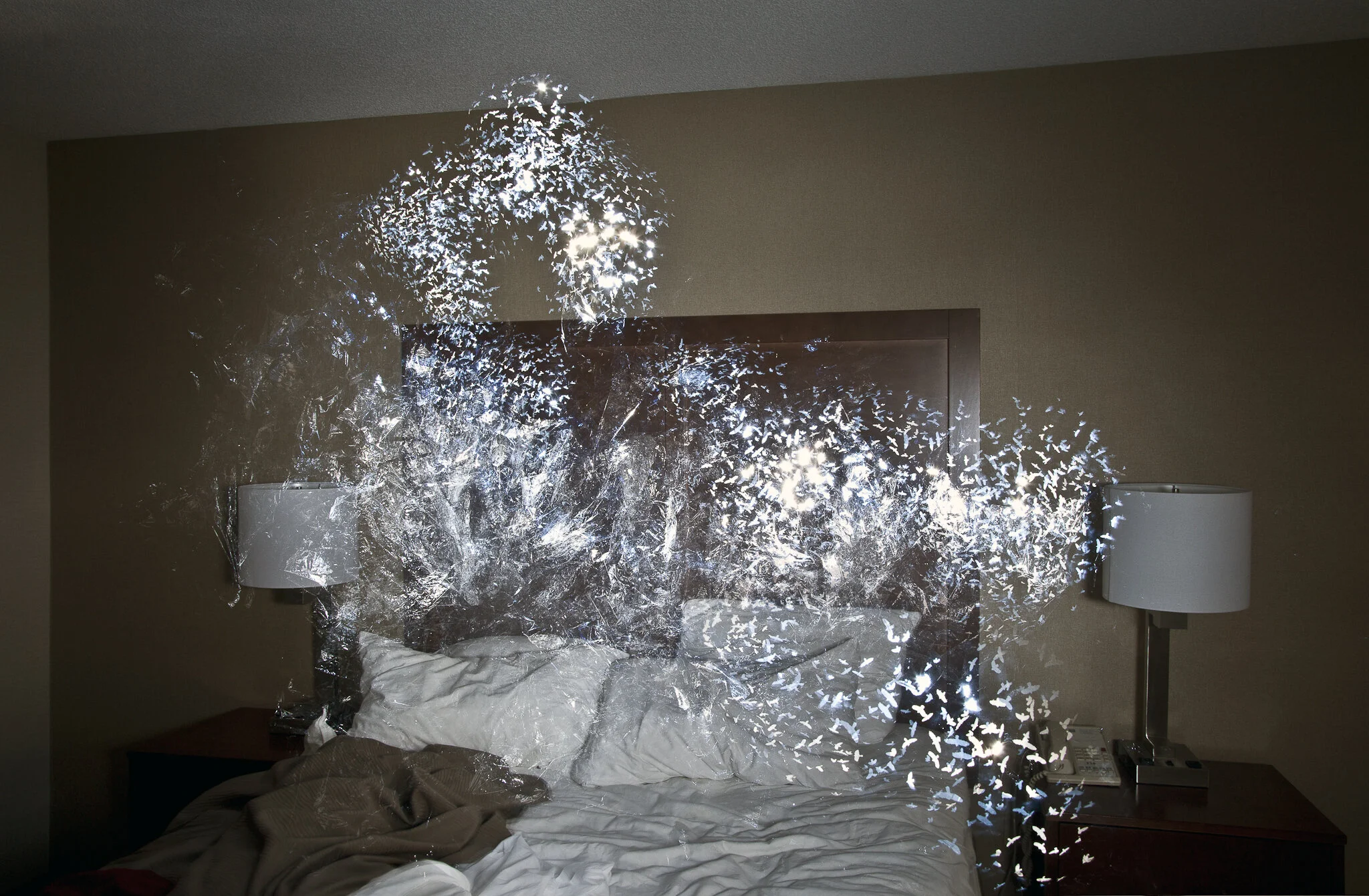 Murmuration#4-2018. Archival Inkjet Print, 24"x36".