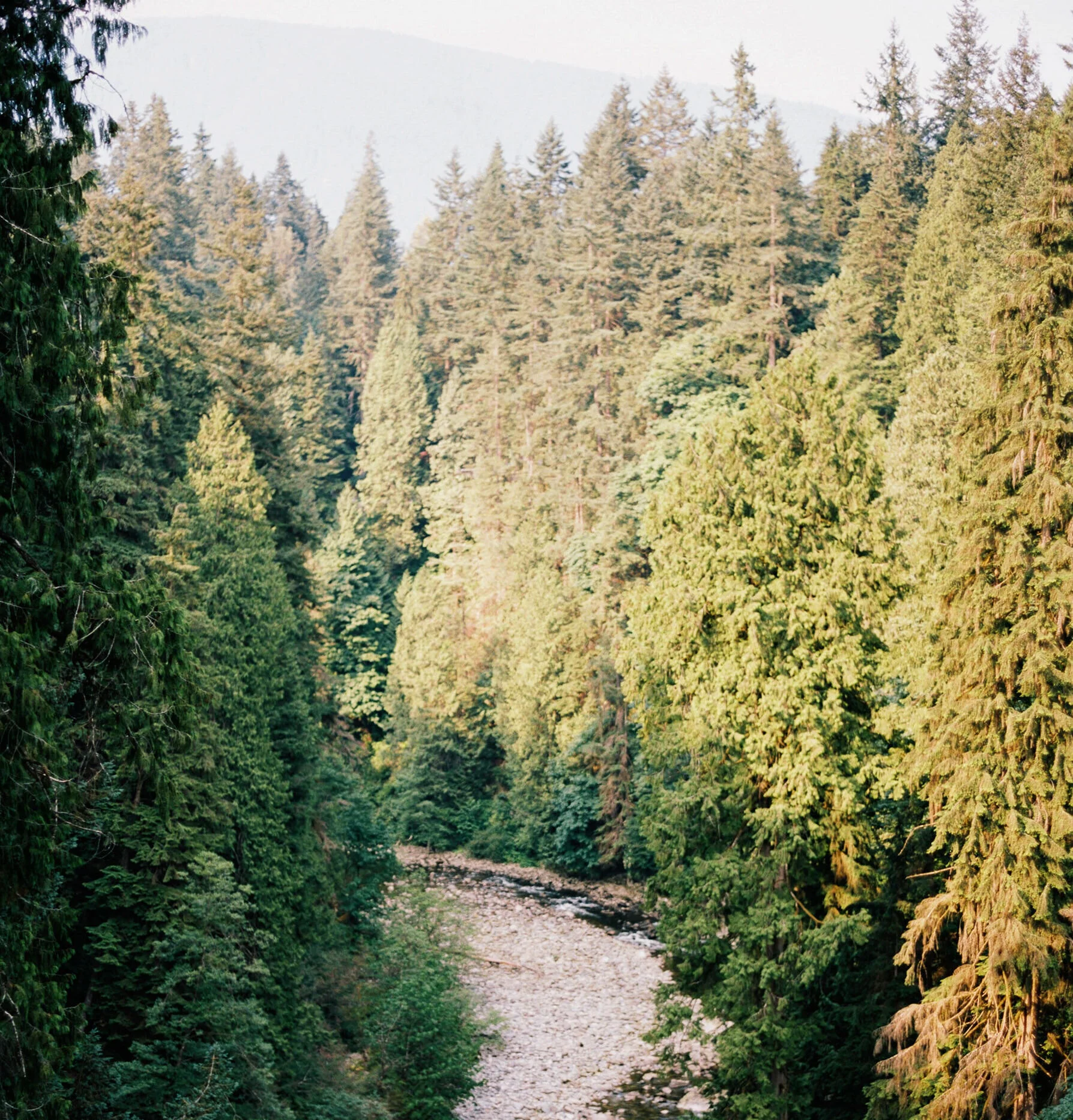 A Guide to Getting Out of Your Comfort Zone