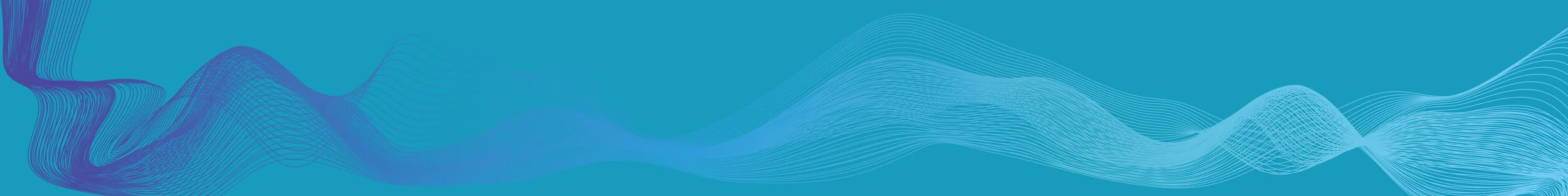 martinez_victor_DSGN 197_project1_Back_final.jpg