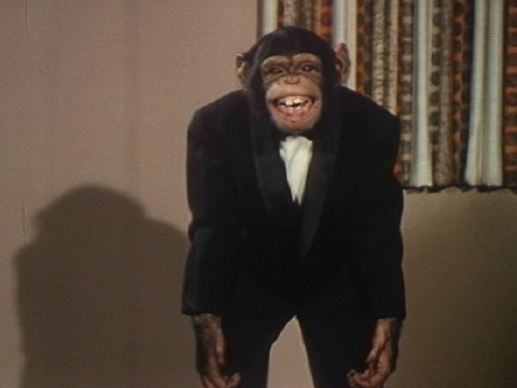 Screenshot 2014-10-04 15.37.58.png