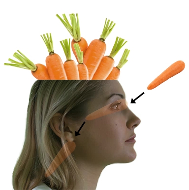 Organic Lobotomy.jpg