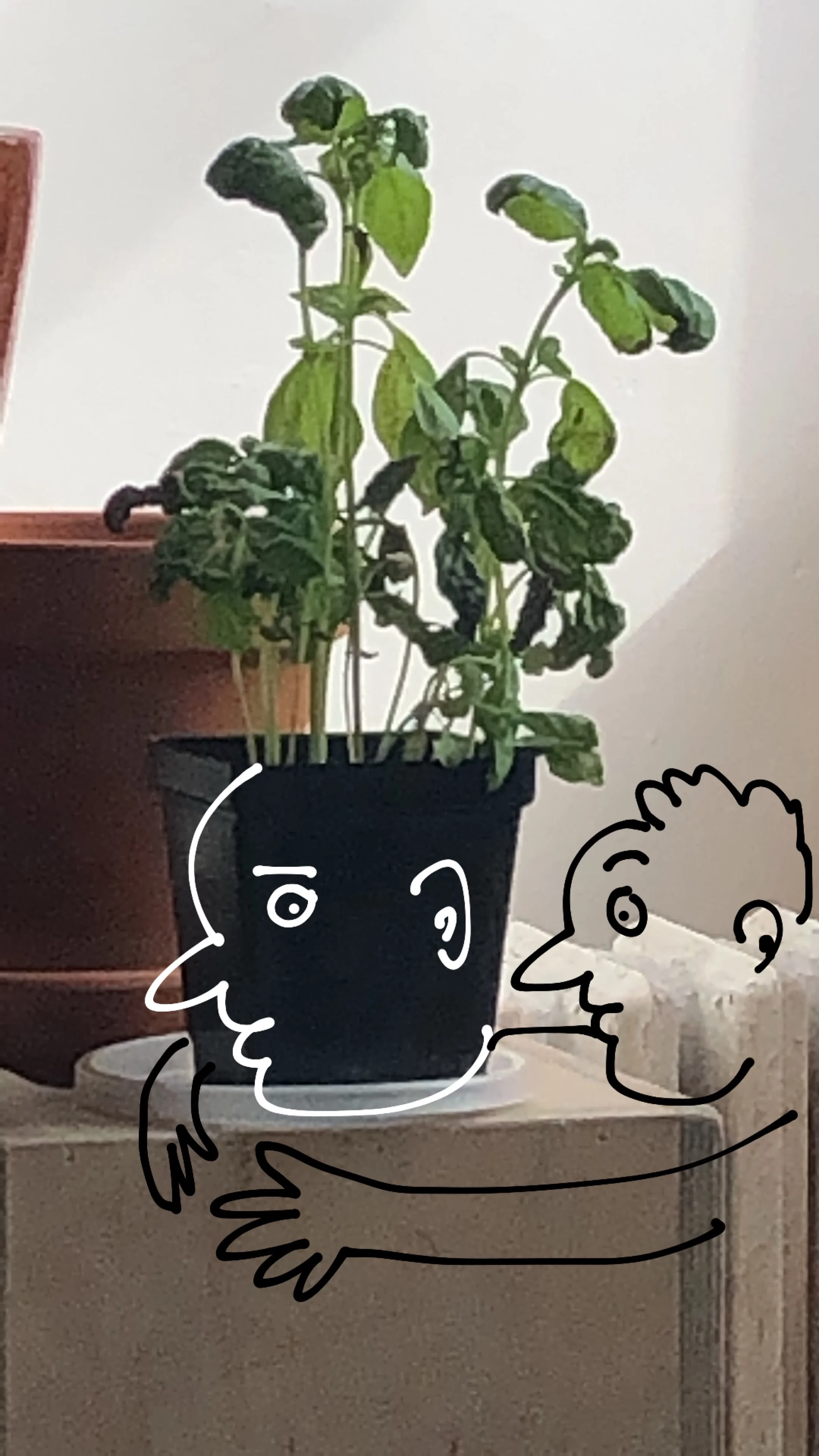 5FD33D57-F711-4082-BD4F-A6C60F76E563 2.JPG