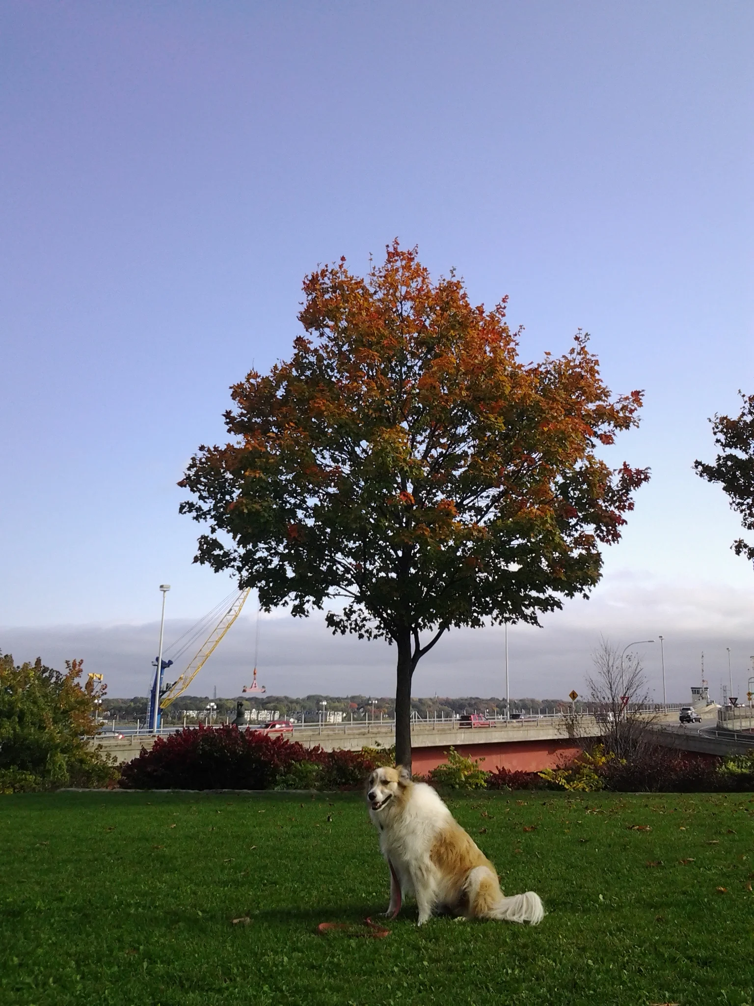 IMG_20131012_143224.jpg