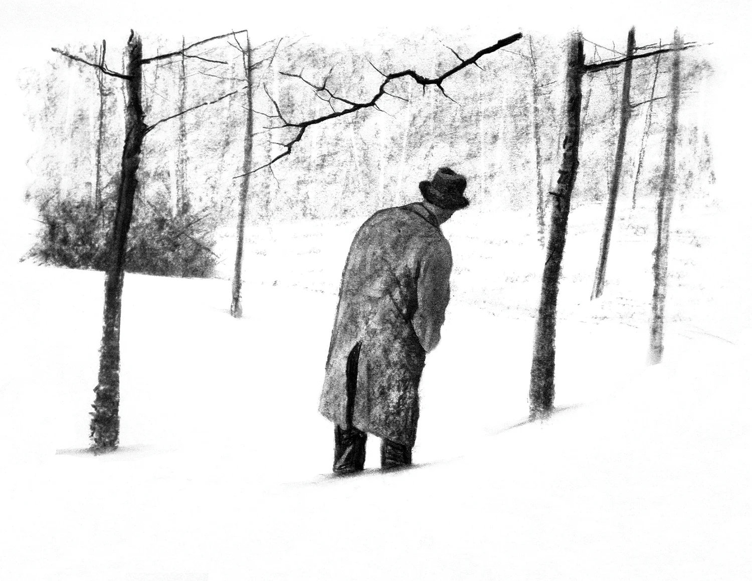 Looking For The Path