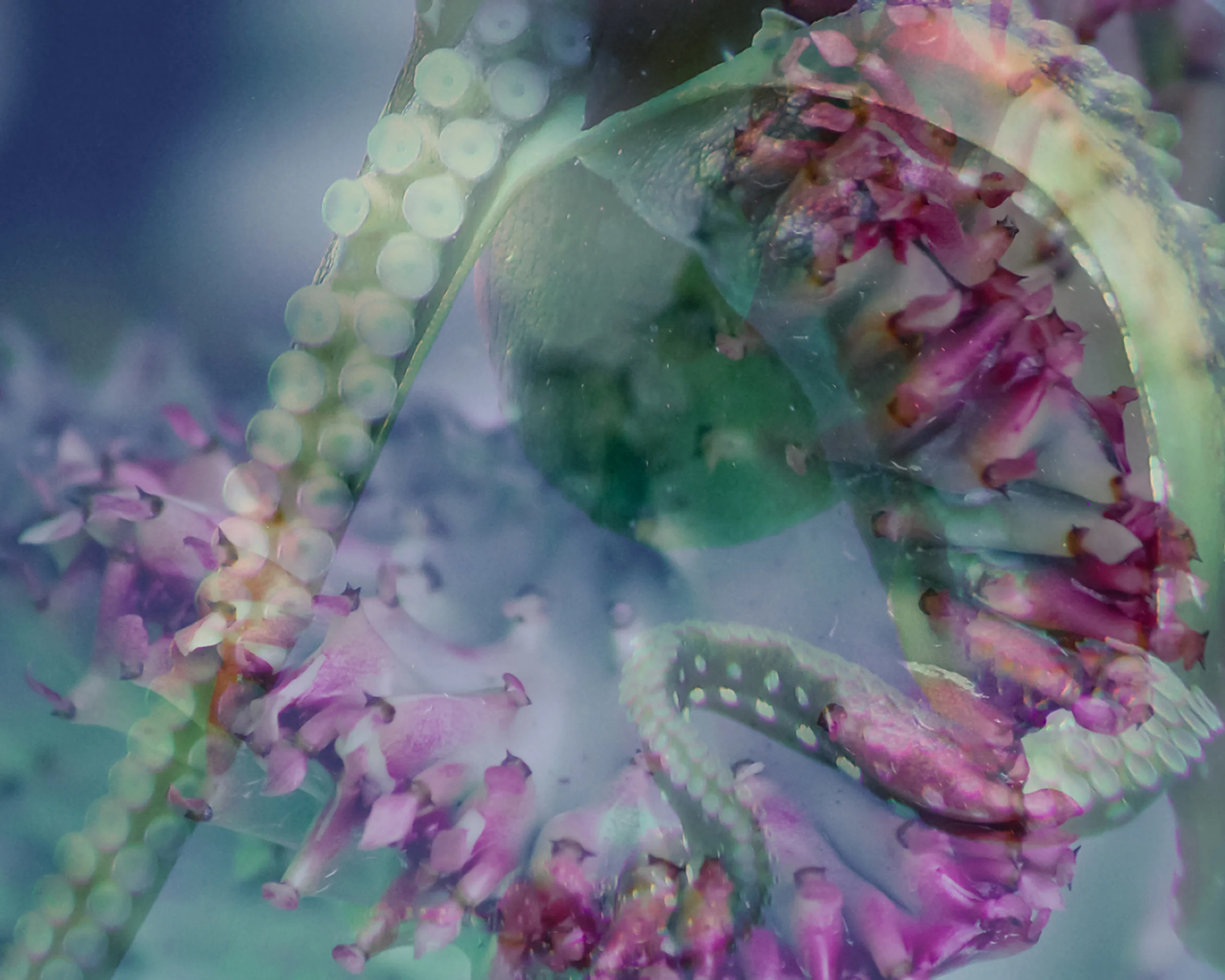 BLURRED_NEW_FINAL-11.jpg