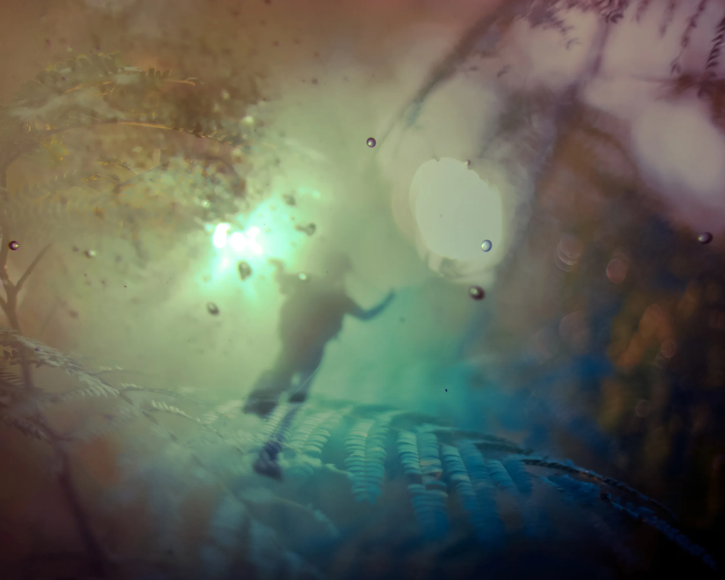 BLURRED_NEW_FINAL-13.jpg