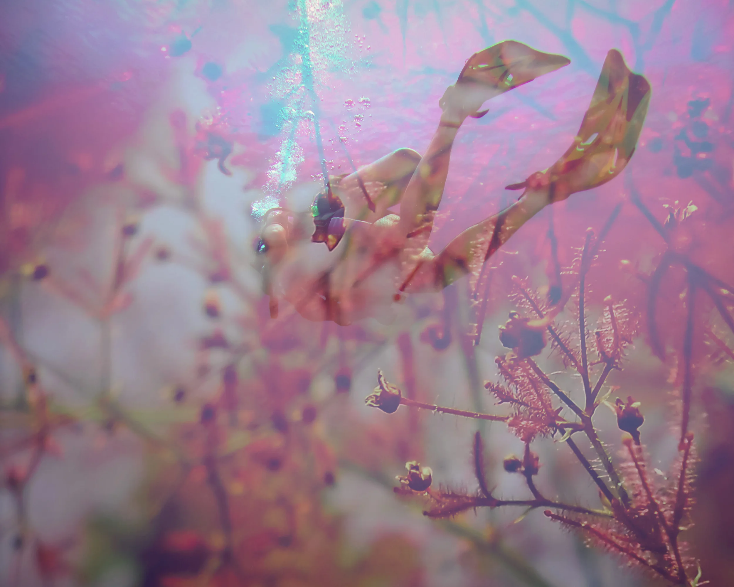 BLURRED_NEW_FINAL-14.jpg