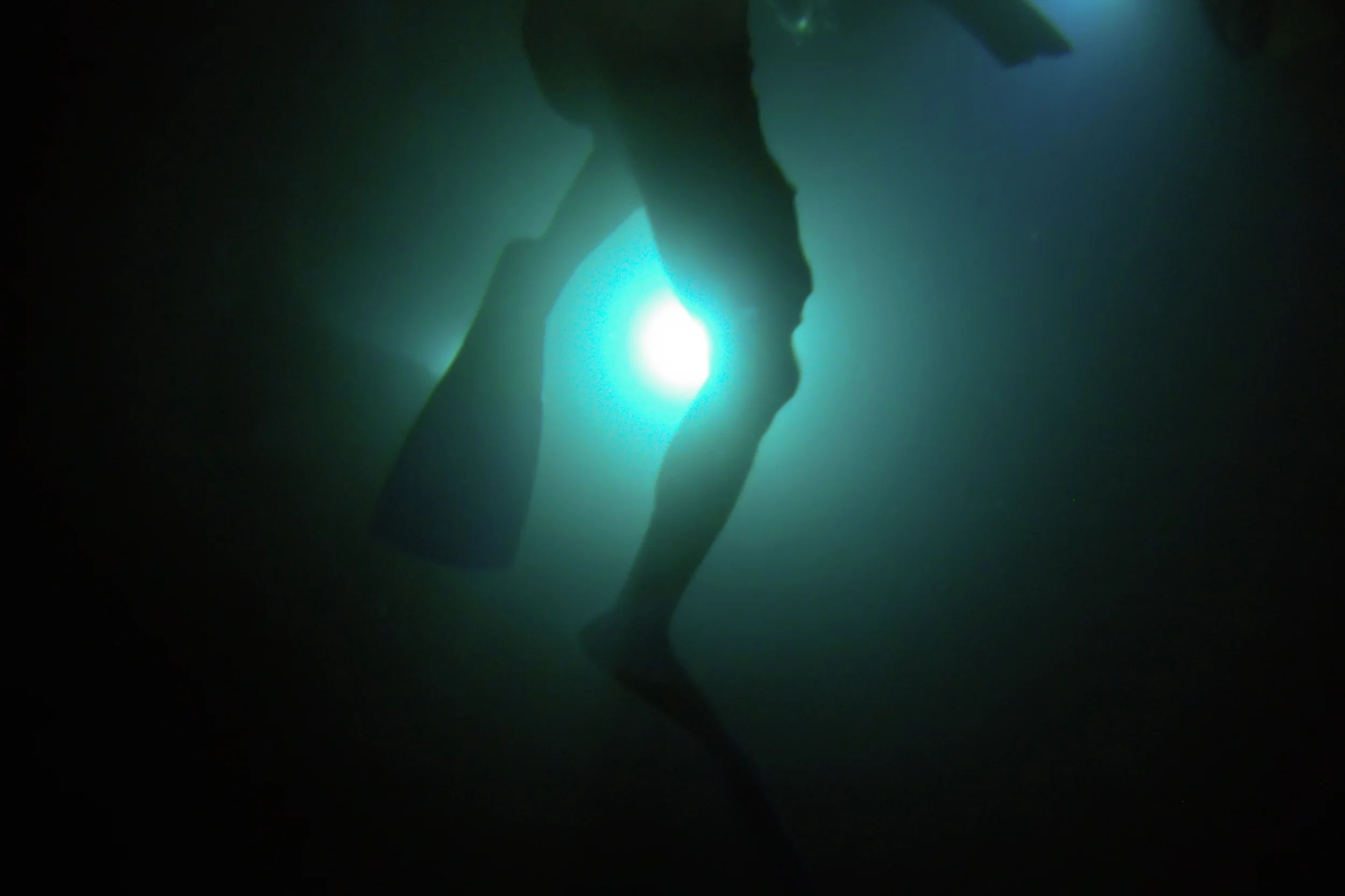 DIVERS12.jpg