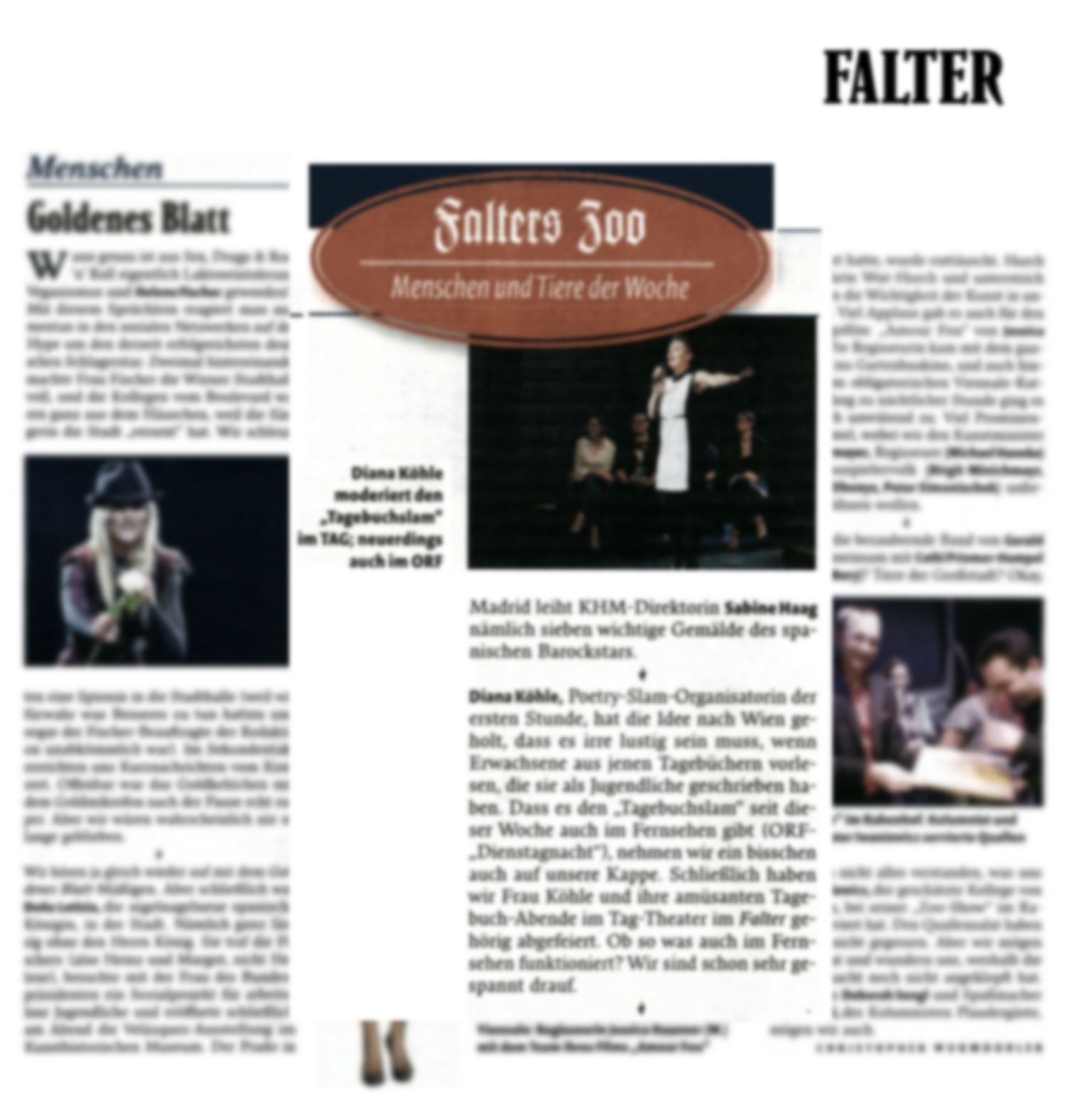 14-10-29 Liebes Tagebuch_Falter.jpg