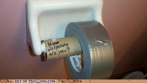 funny-pictures-auto-toilet-paper-471127.jpeg