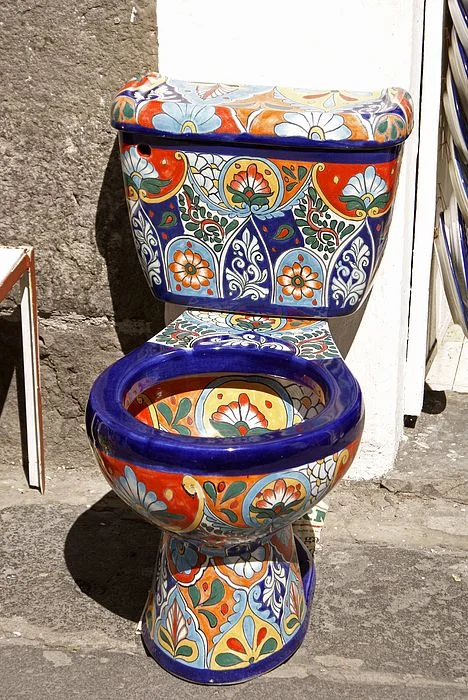 Colorful Mexican Toilet Canvas.jpg