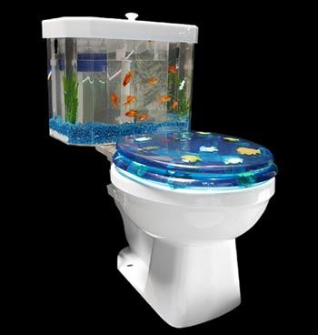 Fish Tank Toilet.jpg