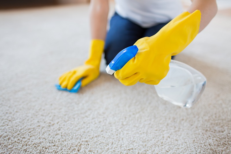 How To Get Powder Makeup Out Of Carpet