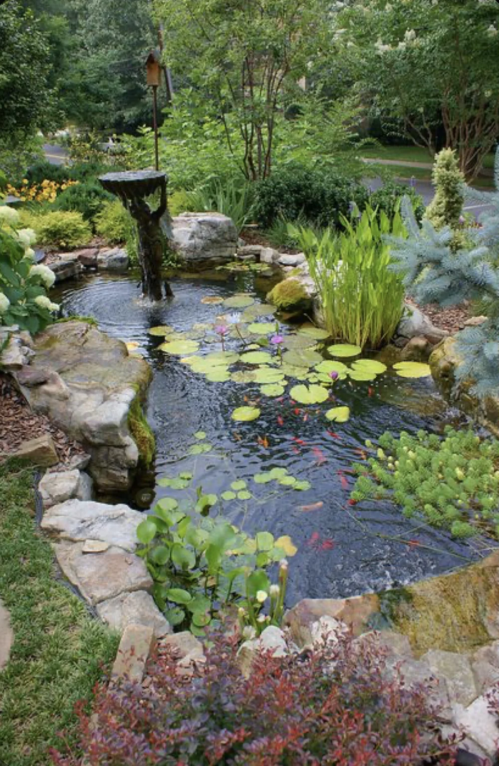 10 Easy Koi Pond Ideas for a Stunning Backyard Oasis