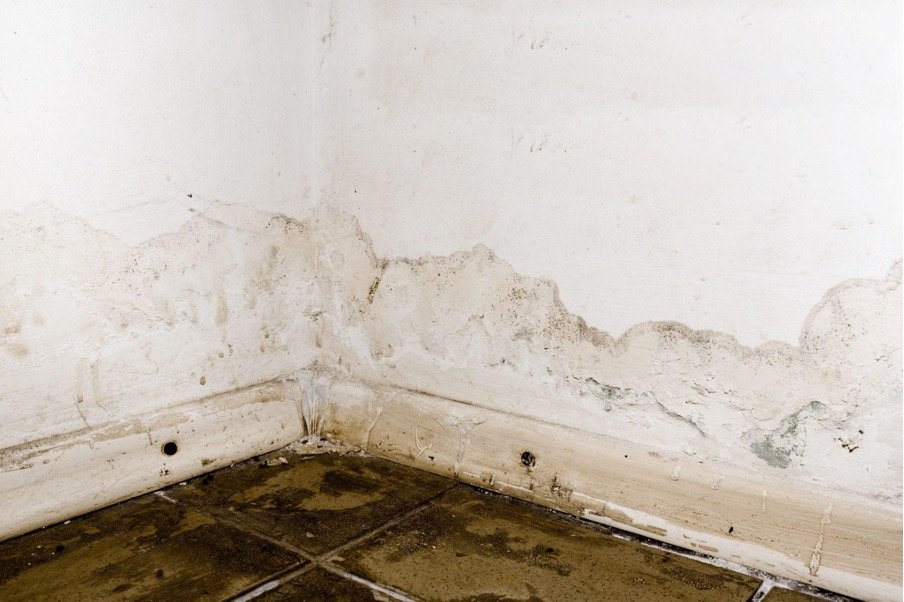 Water Damage Restoration Cost, How Much Does It Cost To Fix Basement Flooding