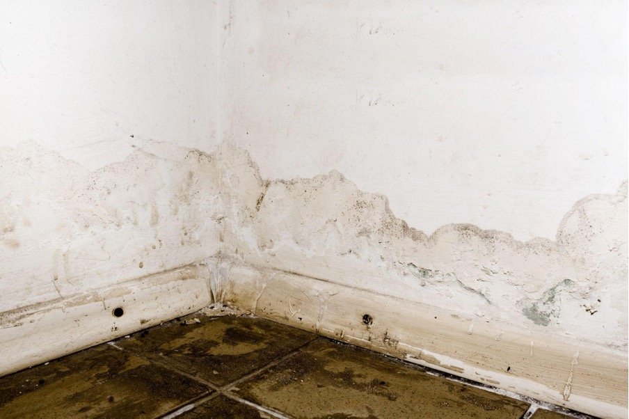 Common Causes of Water Damage in a Bathroom