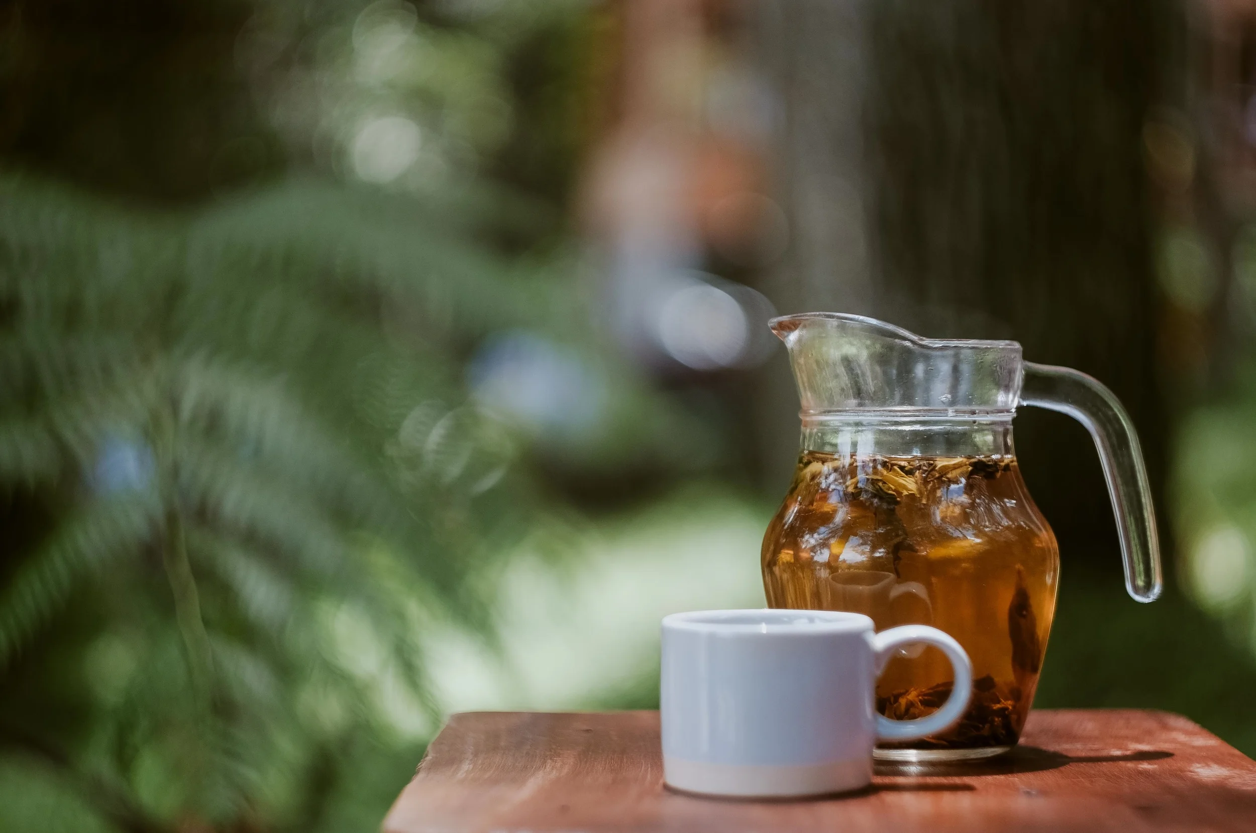Trends : Kombucha