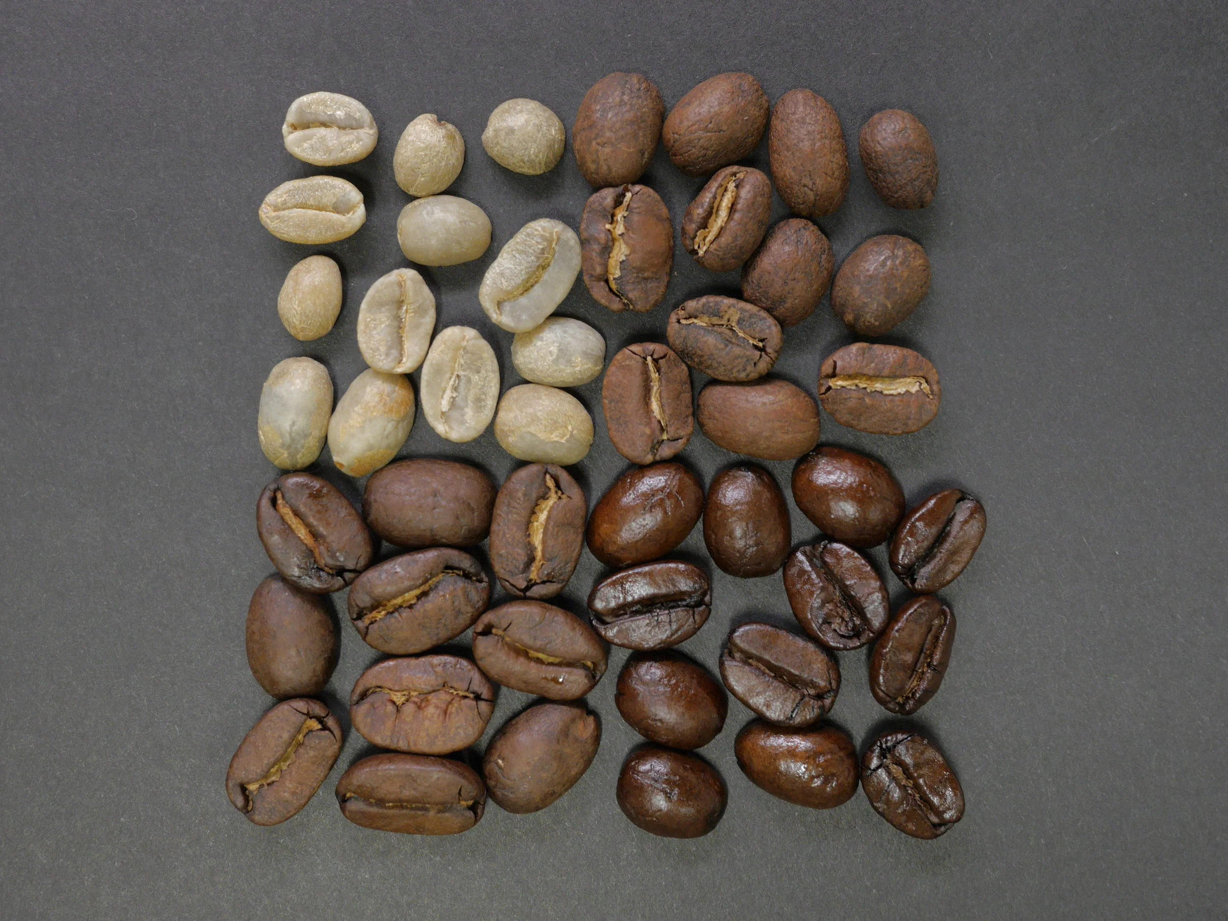 True or False: Soy Is Unhealthy And Causes Cancer