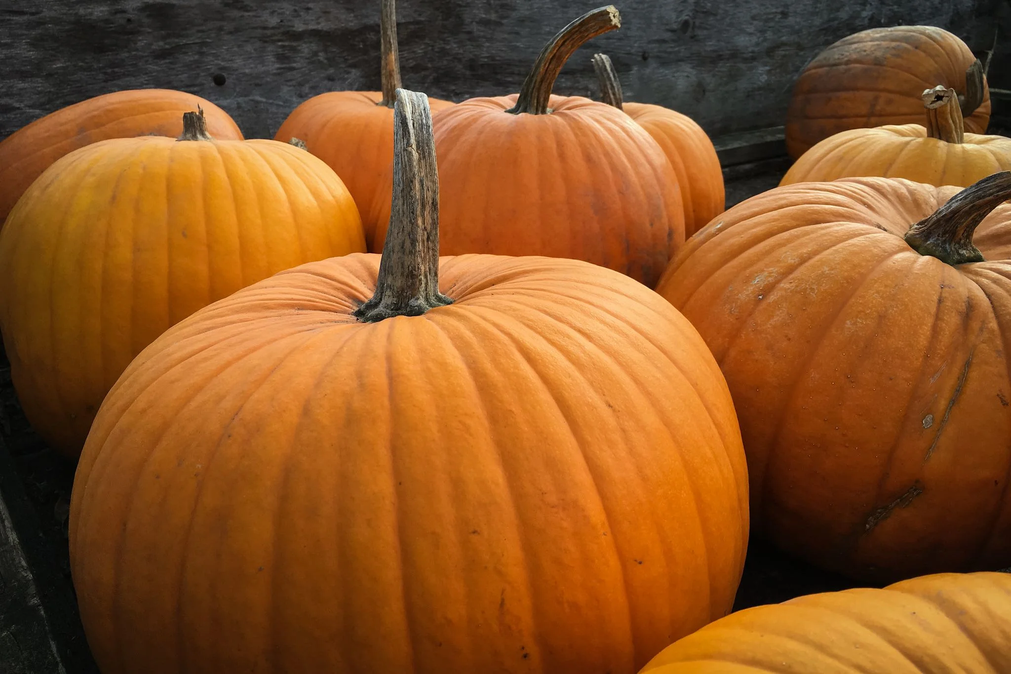 October Seasonal Recipes:  Pumpkin