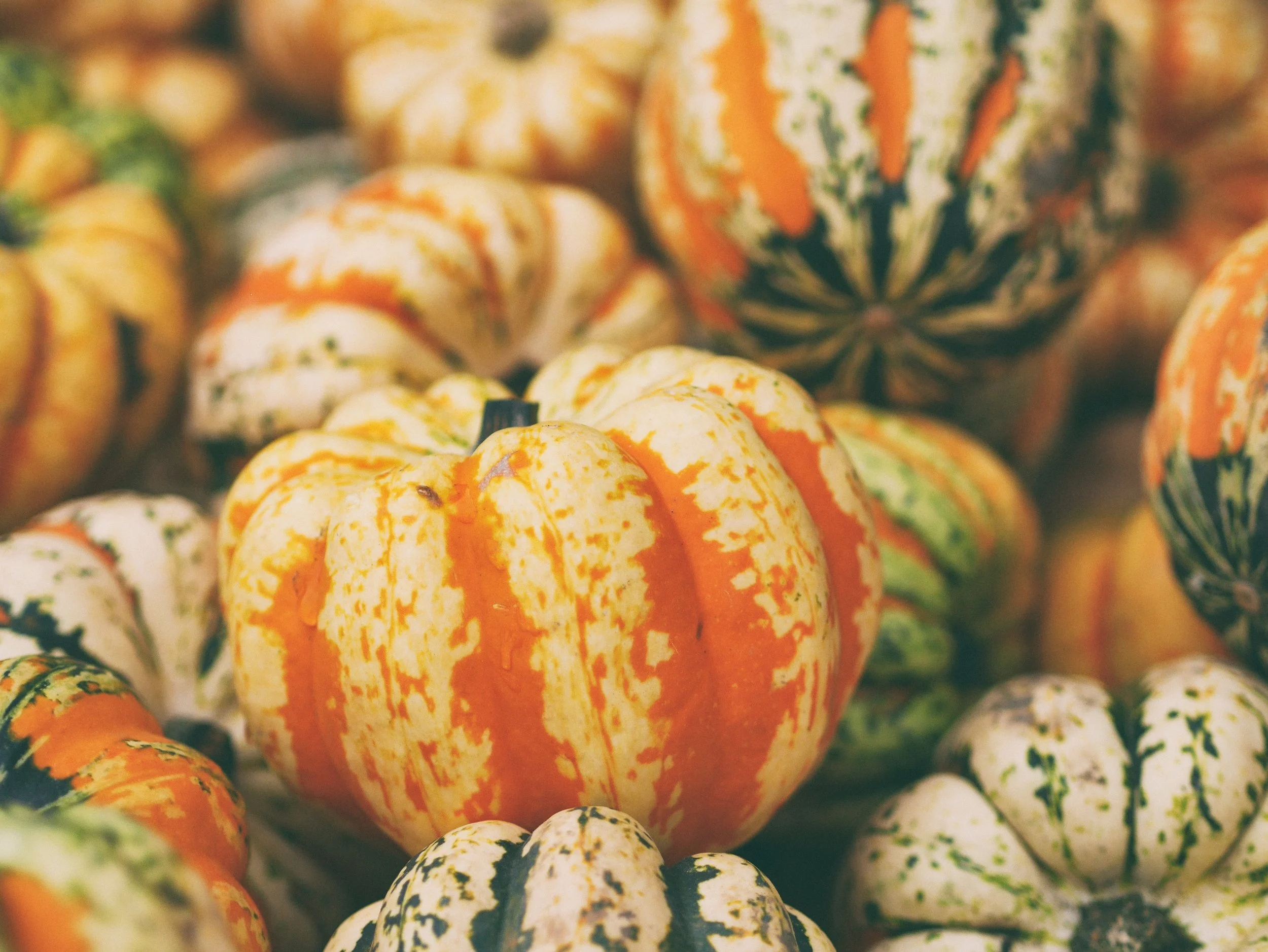 November Seasonal Recipe: Acorn Squash