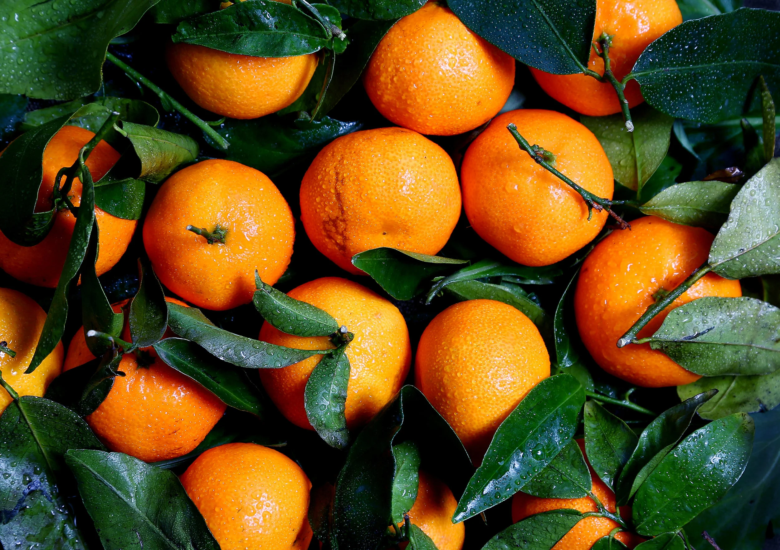 Seasonal Recipe:  Clementines