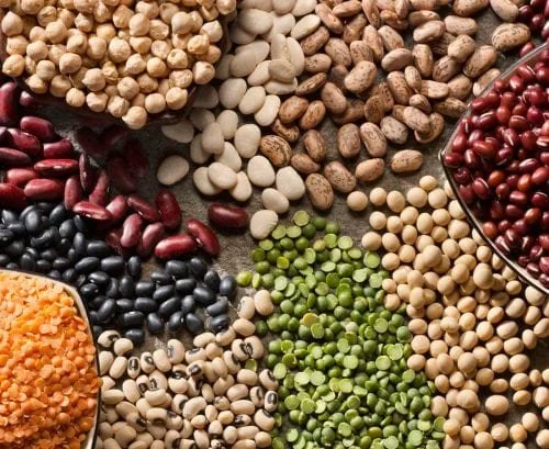 The-health-benefits-of-legumes-and-pulses-iStock-163729647-500x409.jpg