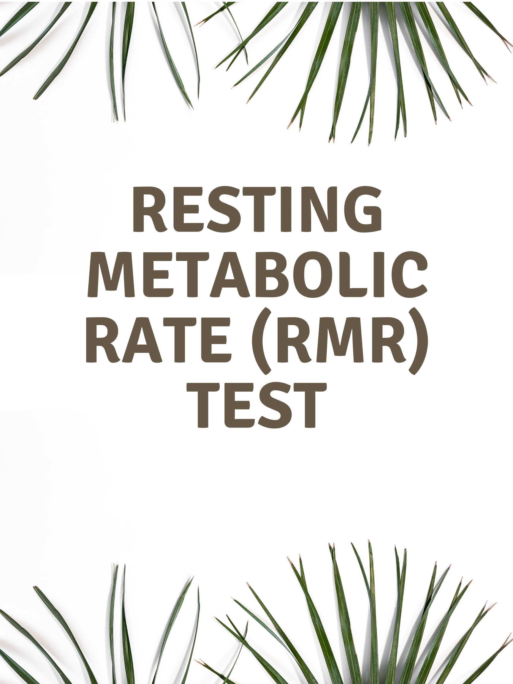 Resting Metabolic Rate (RMR) Test