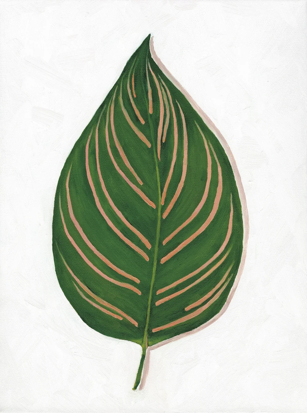 Come Alive Studio - Calathea Ornata (Oil Painting) Print