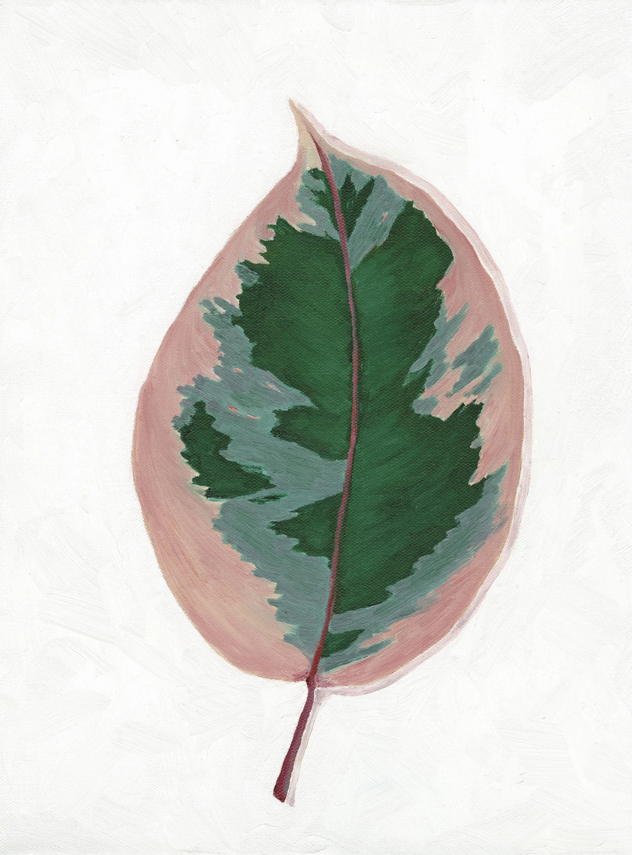 Ficus Ruby (Oil Painting) Print