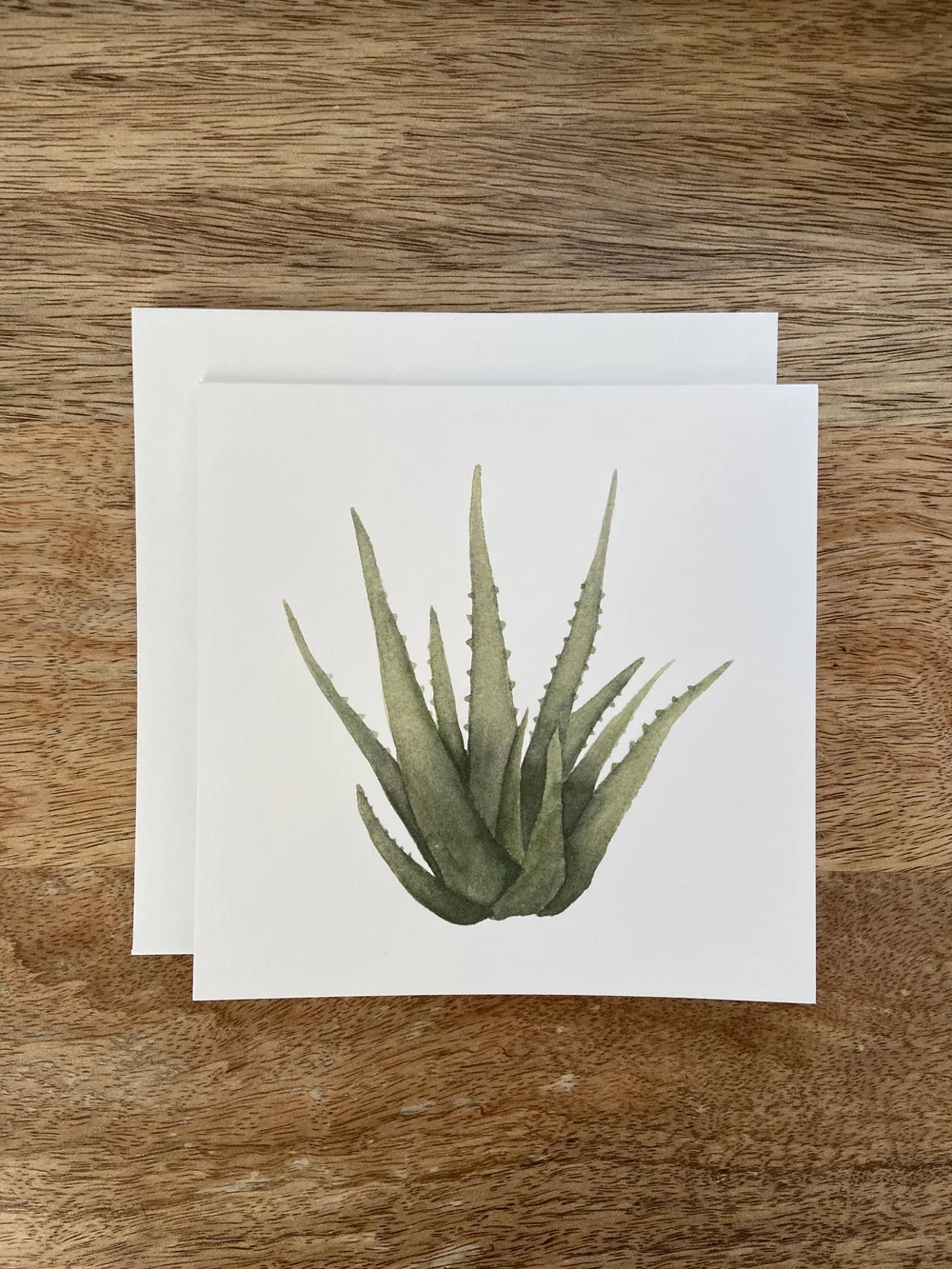 Come Alive Studio - Aloe Vera Card