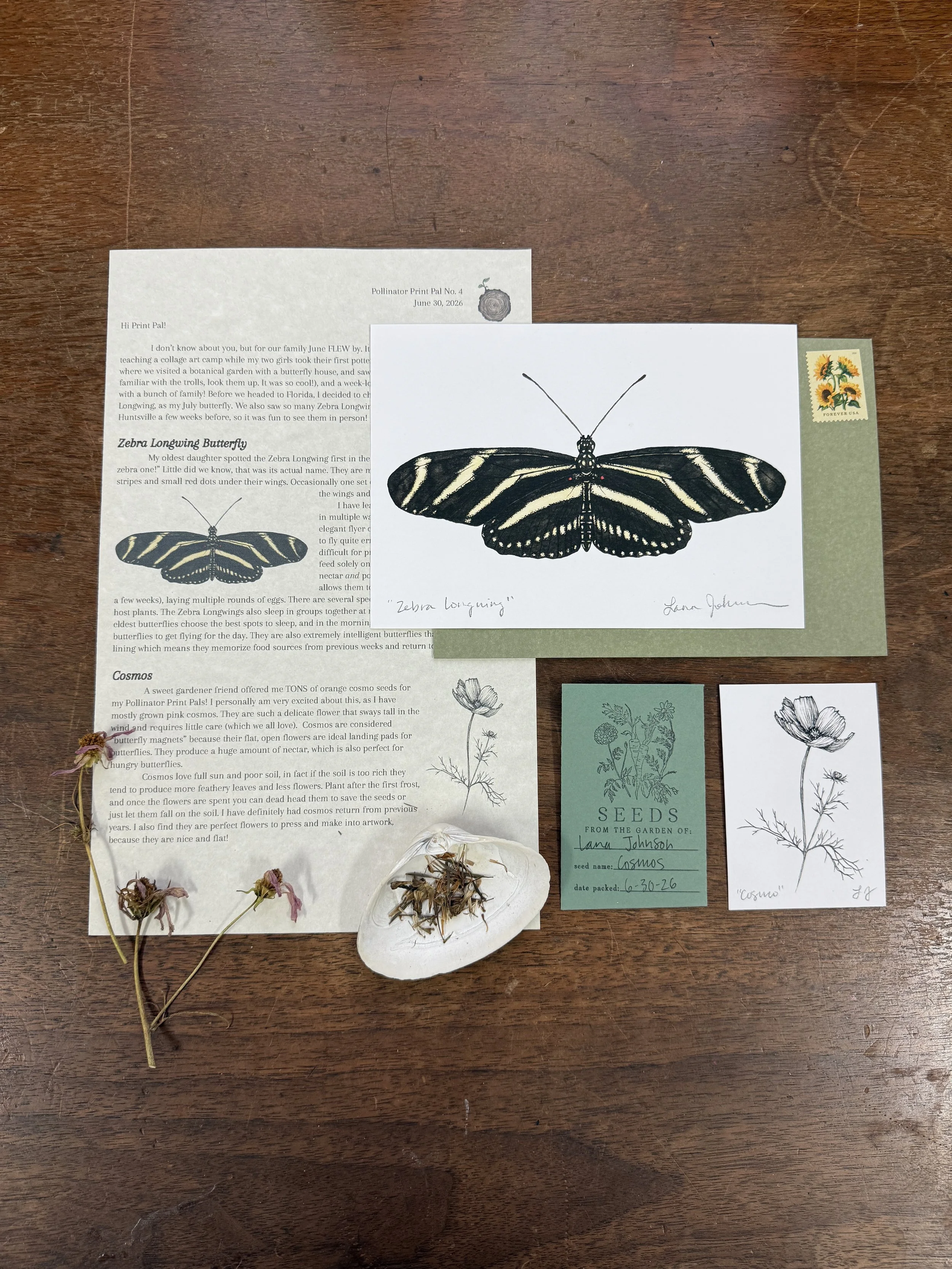 May Monthly Print Club, Zebra Longwing Butterfly, Cosmo