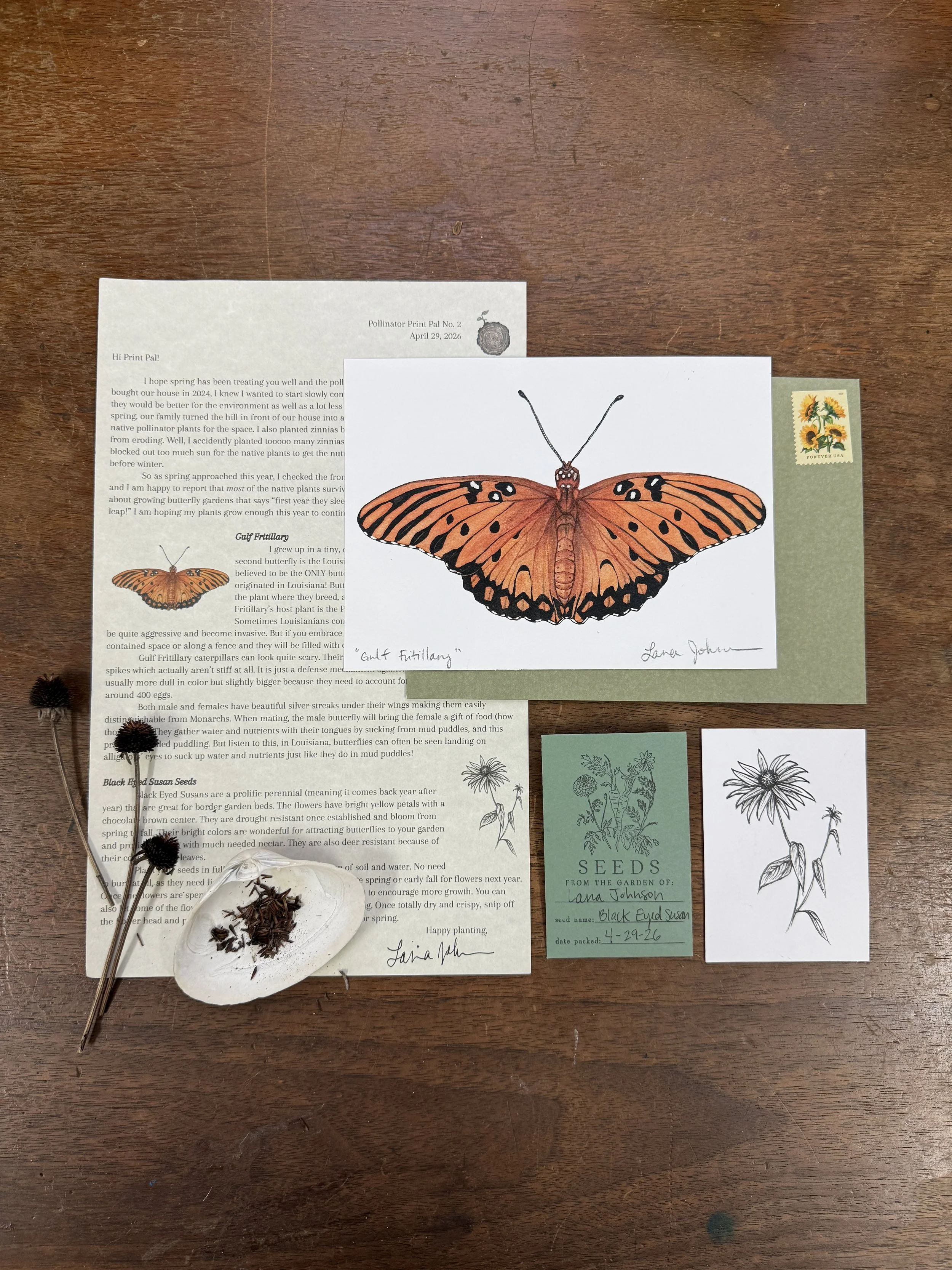 April Monthly Print Club, Gulf Fritillary Butterfly, Black Eyed Susans