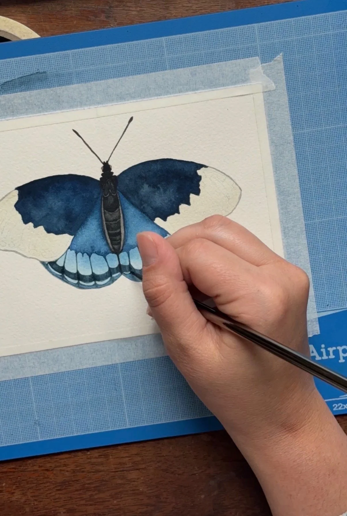 Pollinator Print Pal (A Monthly Print Club)