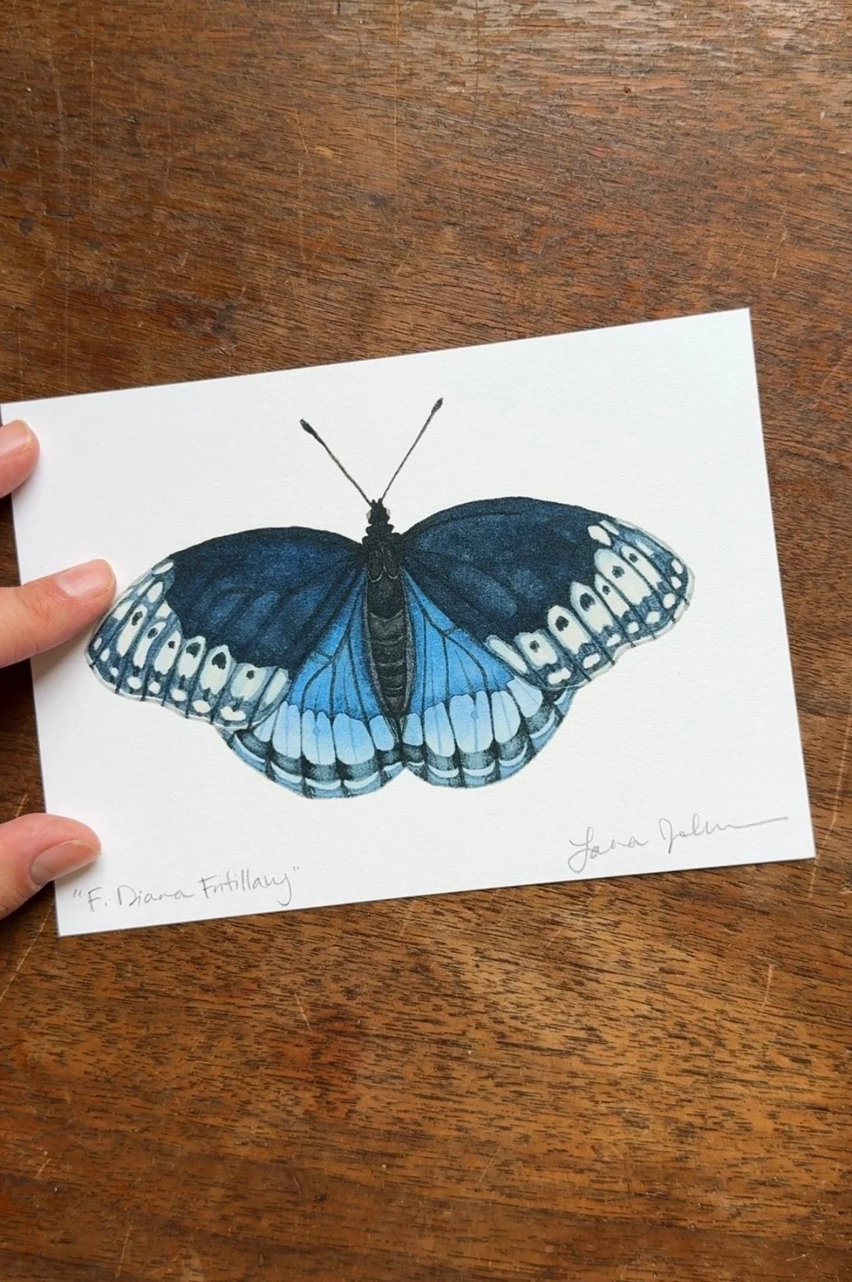 Monthly Art Subscription, Art Print Club, Subscription Art Box, Monthly Art Mail, Curated Art Prints, Print of the Month, butterfly art, pollinator garden