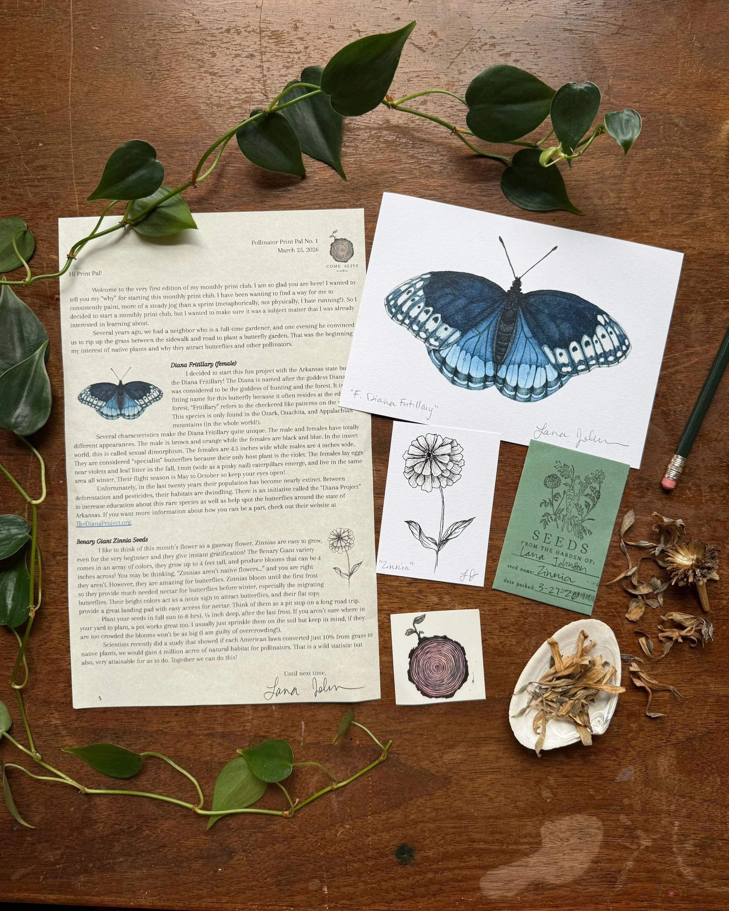 Pollinator Print Pal (A Monthly Print Club)