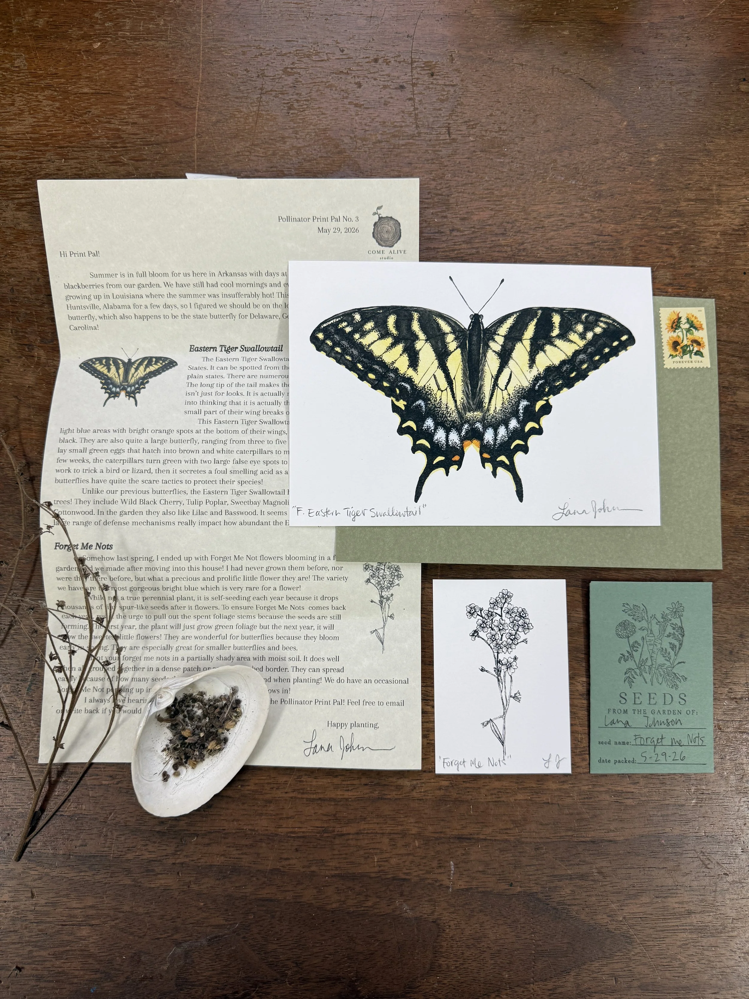 June Monthly Print Club, Eastern Tiger Swallowtail Butterfly, Forget Me Nots