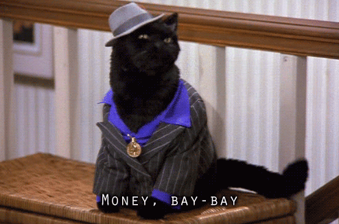 Side note: seeking animatronic cat shelters in Los Angeles. Tell me your faves!