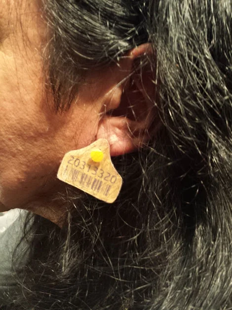 Made for $0 using paper, glue, the plastic from a strawberry container, and a nub of a thumb tack. I strung a small loop of fishing line through the tag and hung it around the actor's ear... Nah just kidding, we pierced the shit out of his ears Parent Trap style!