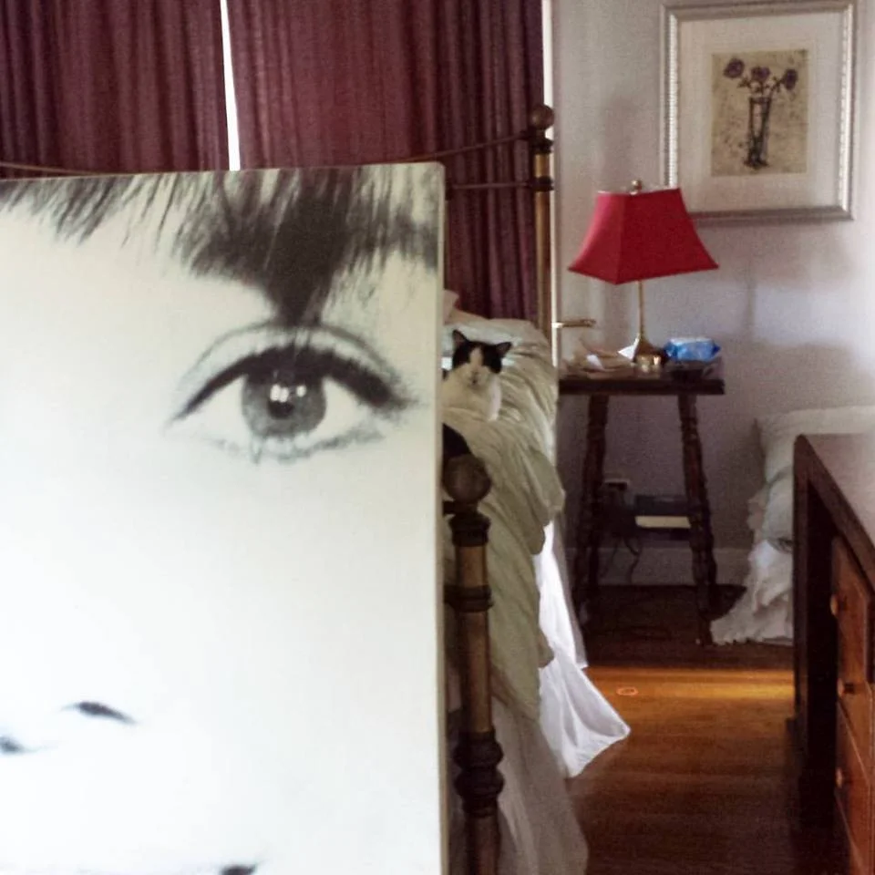 ACTIN LIKE HE JUST HAPPENS TO BE IN THIS ADORABLE LITTLE POSE BEHIND AUDREY HEPBURN'S FAT HEAD