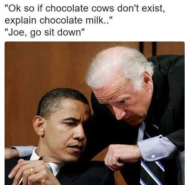 Biden memes were funny for about 12 hours before they quickly became... well this.
