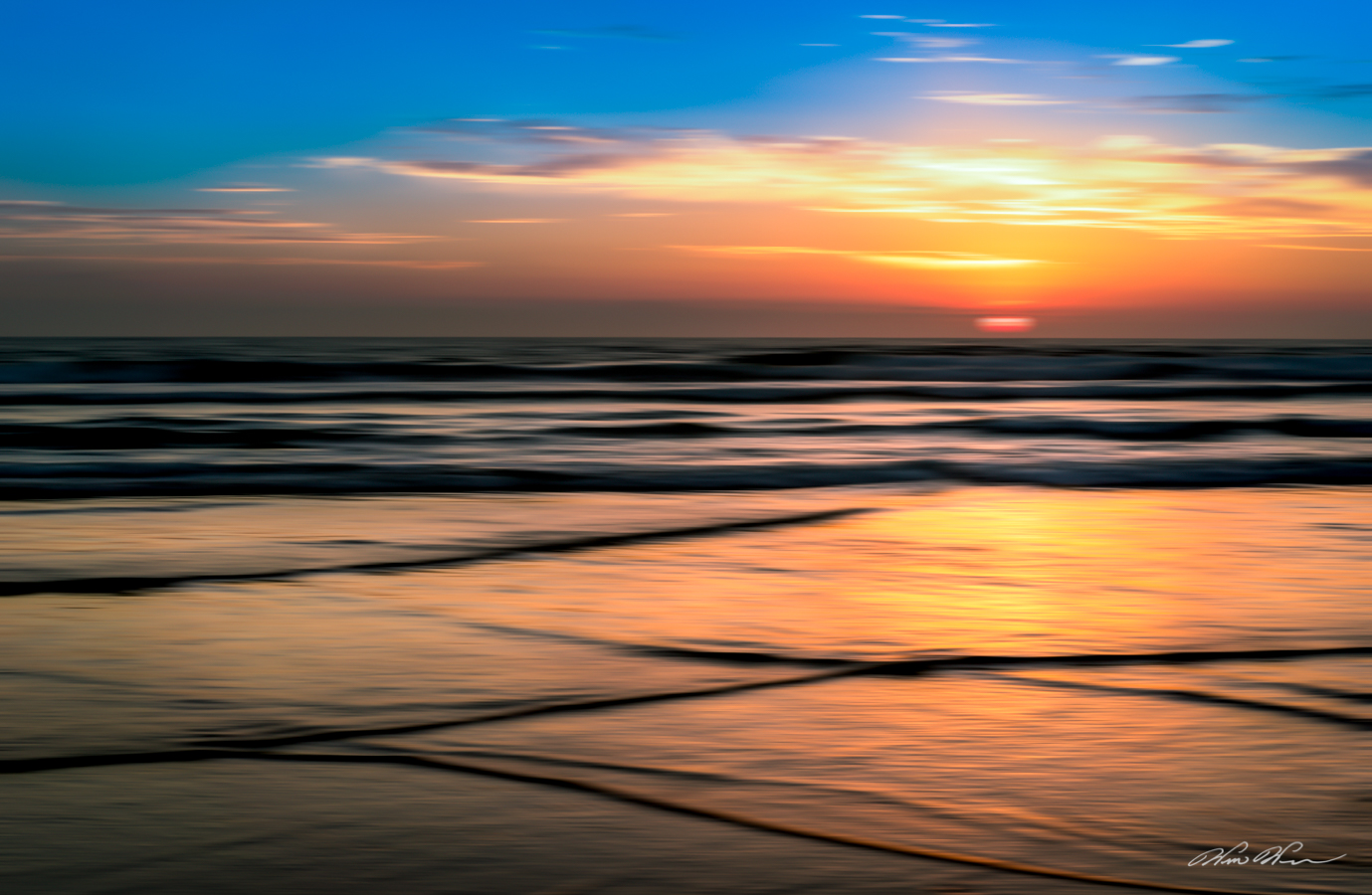 “Silk Purse” ~ Imperial Beach, CA