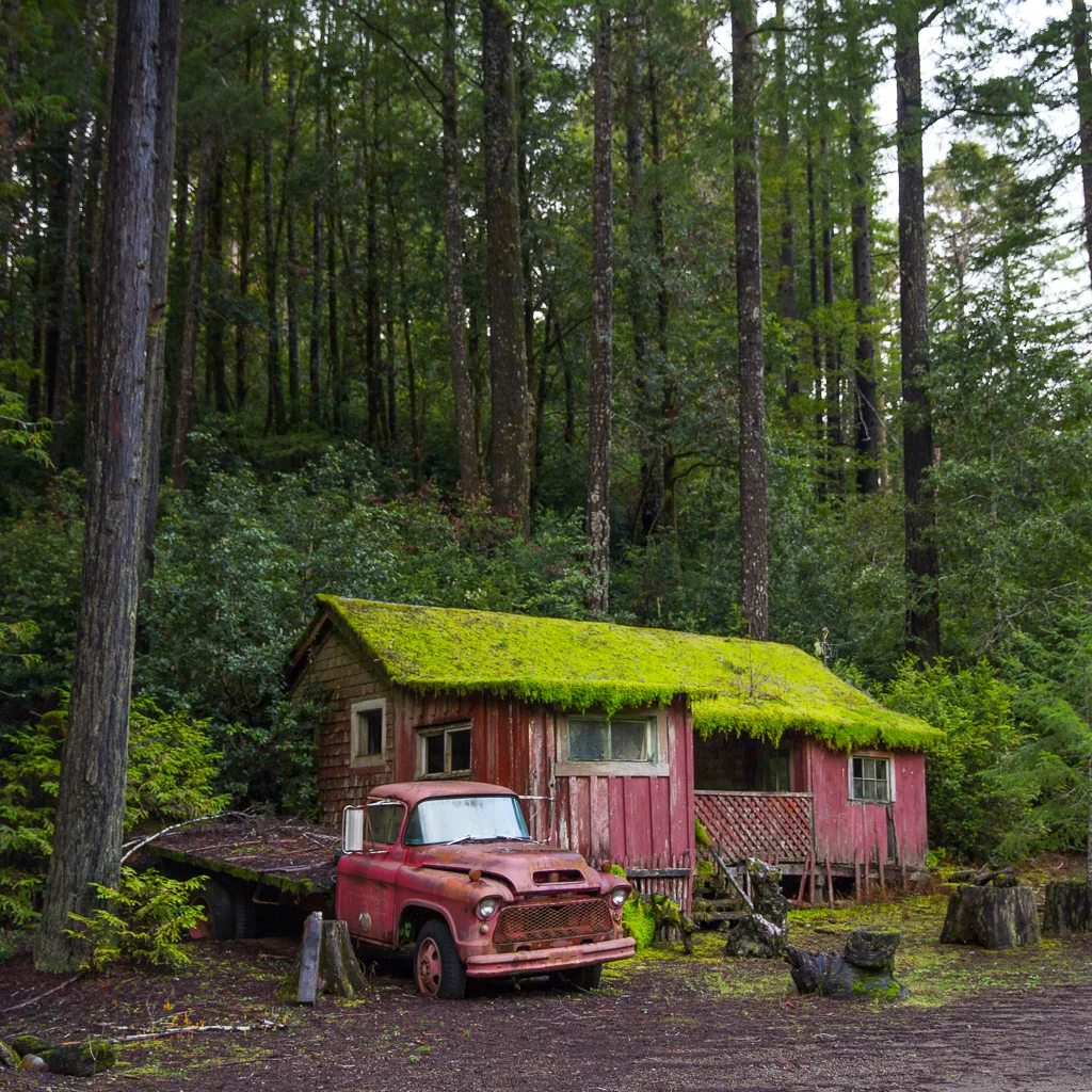 Abandon House, California 