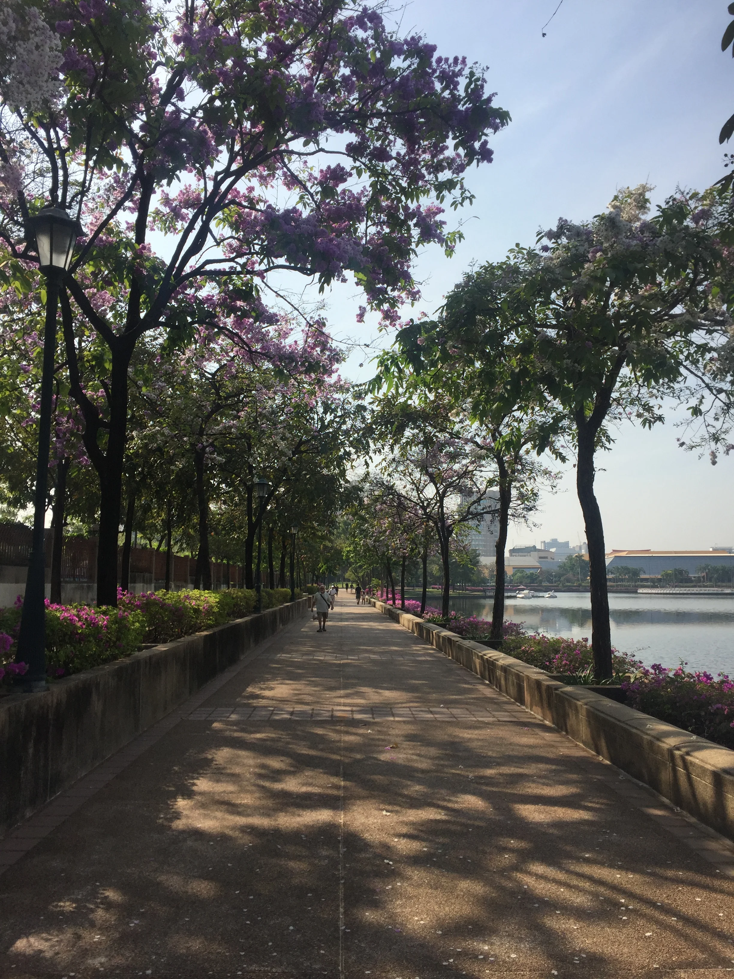 there was a really nice park right by our hotel